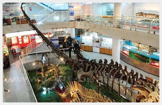 Top 10 Museums in Beijing (Tips, Photos & Map)