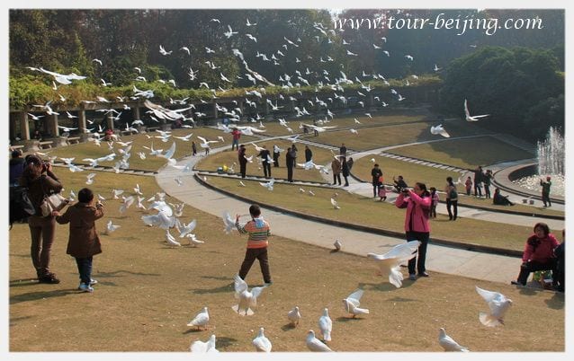 Top 10 Attractions in Nanjing (Tips, Photos & Map)
