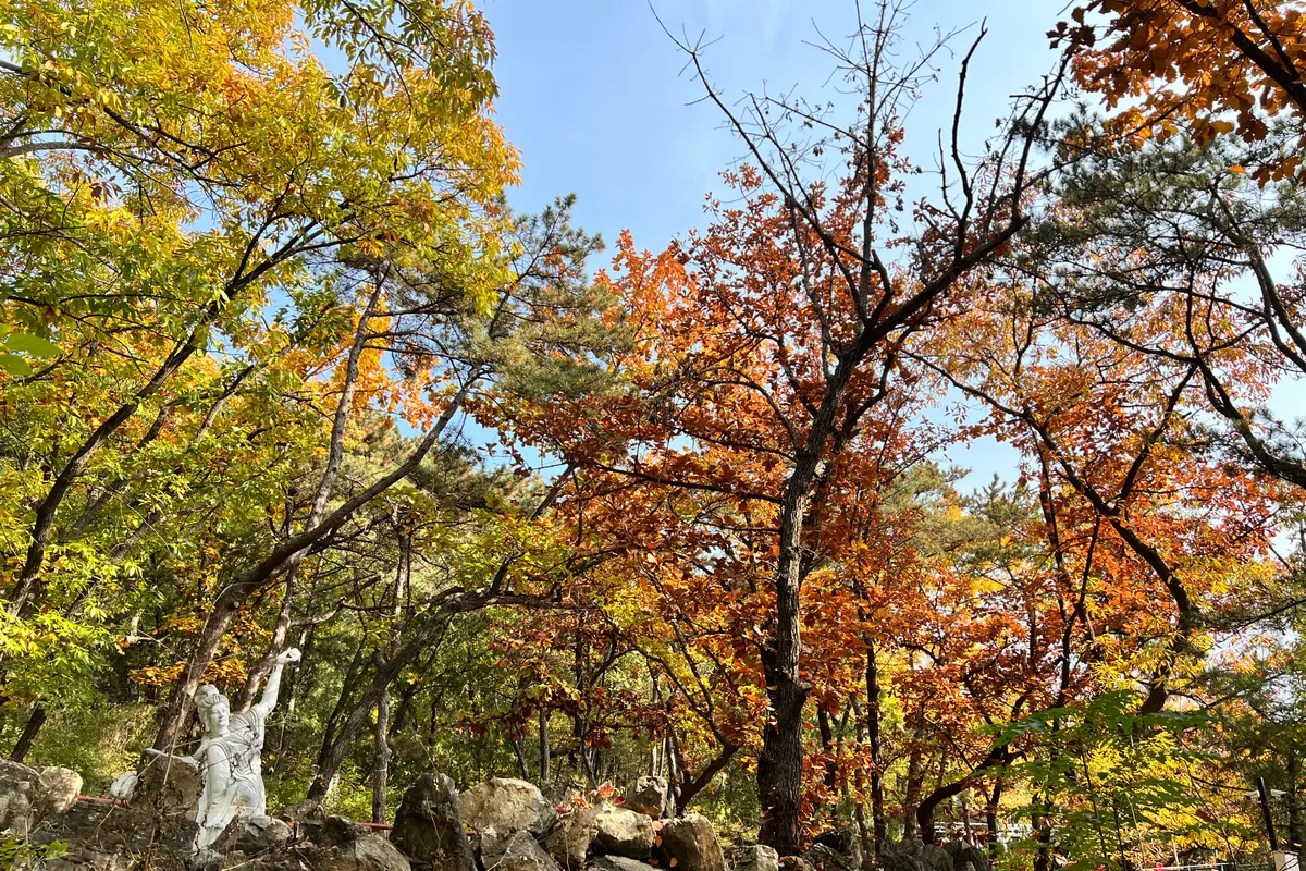 What to see in Chengde, things to do in Chengde